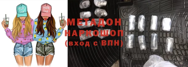 амф Гусев