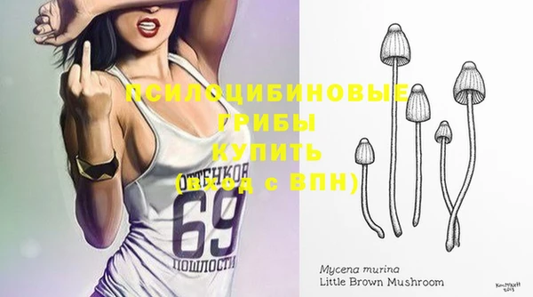 амф Гусев