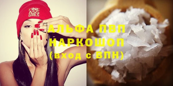 амф Гусев