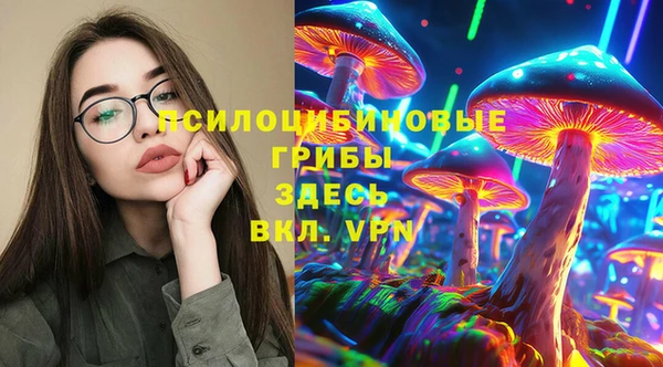 не бодяженный Гусь-Хрустальный