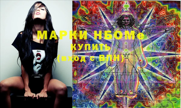 амф Гусев