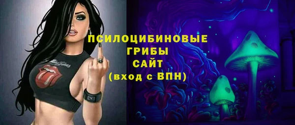 не бодяженный Гусь-Хрустальный