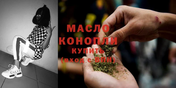 амф Гусев