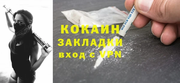 амф Гусев
