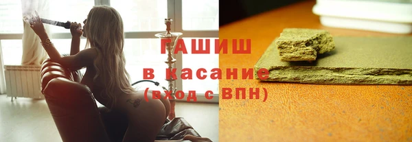 амф Гусев