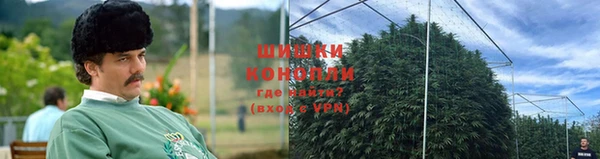 амф Гусев
