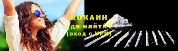 не бодяженный Гусь-Хрустальный