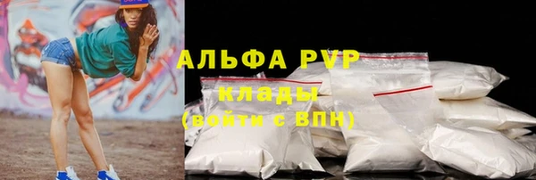 амф Гусев