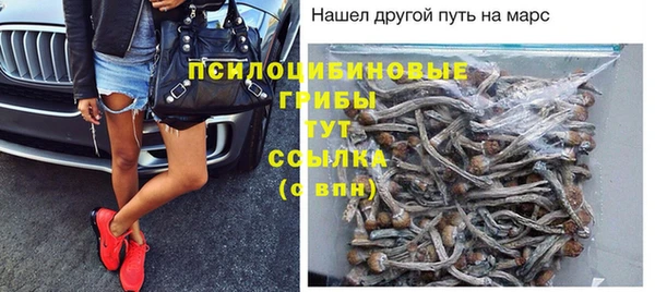 амф Гусев