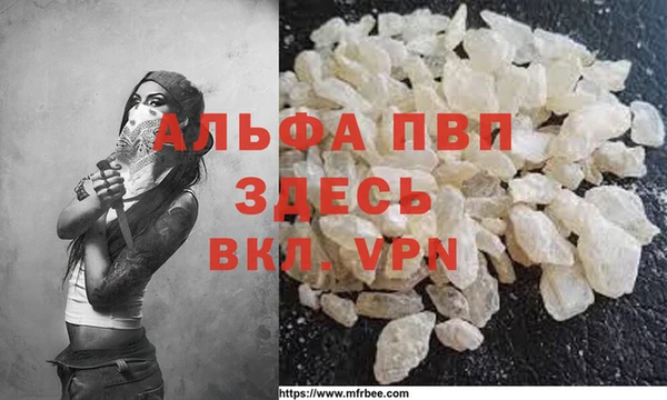 амф Гусев