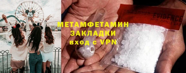 амф Гусев