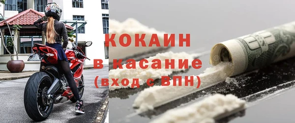 амф Гусев