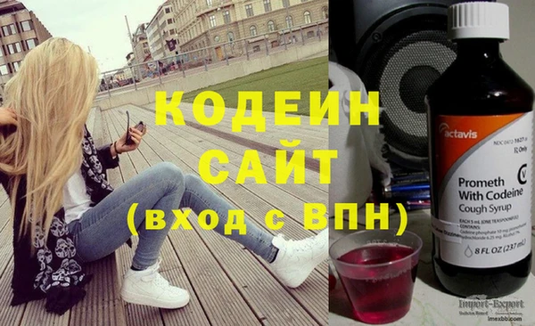 амф Гусев