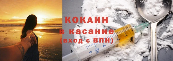 амф Гусев