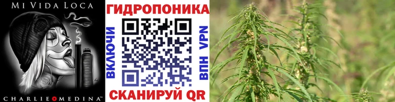Бошки марихуана MAZAR  Миасс 